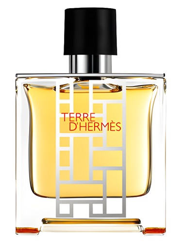 Terre d'Hermès flacon H 2013 Hermès — аромат
