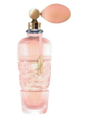 Tendre Lalique — аромат