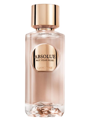 Absolue Not Your Rose Lancôme — аромат