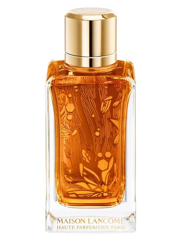 Oud Ambroisie Lancôme