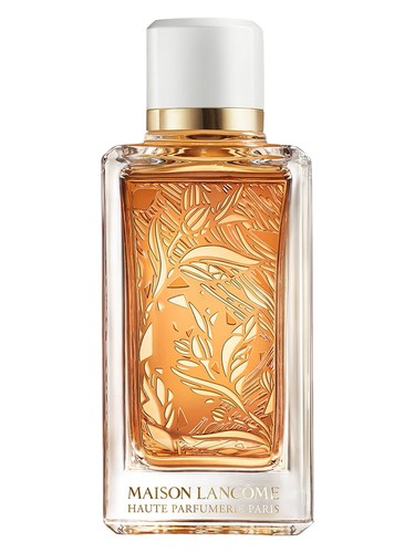 Santal Kardamon Lancôme — аромат