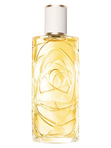 Ô Zenith Lancôme — аромат