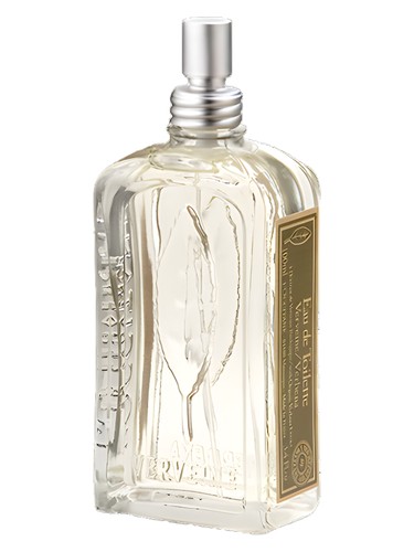 Verveine L'Occitane en Provence — аромат