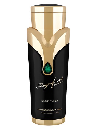Magnificent Pour Femme Armaf