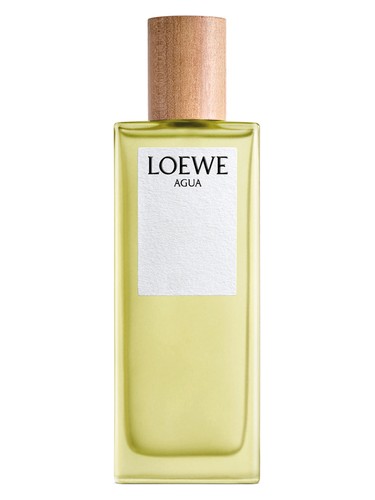 Agua de Loewe Loewe — аромат