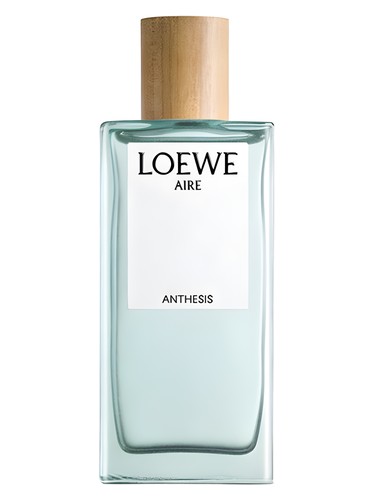 Aire Anthesis Loewe — аромат