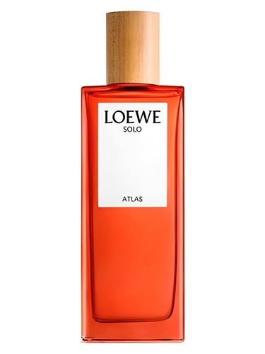 Solo Atlas Loewe