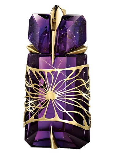 Velvet Patchouli Dolce&Gabbana — аромат