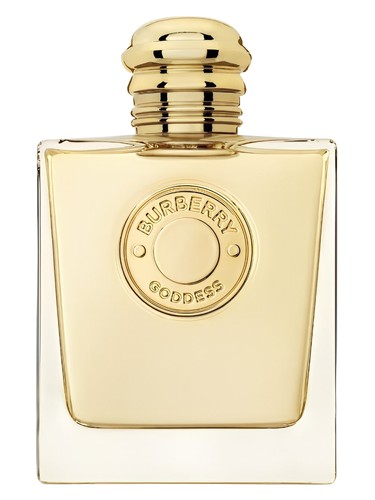 Goddess Burberry: разбор бестселлера — что говорят владельцы