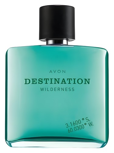 Versace Essence Emotional Versace — аромат