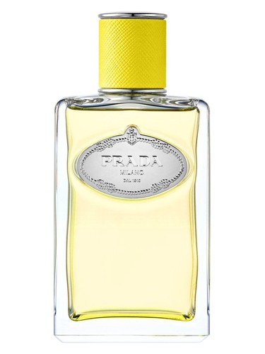 Infusion d'Ylang Prada