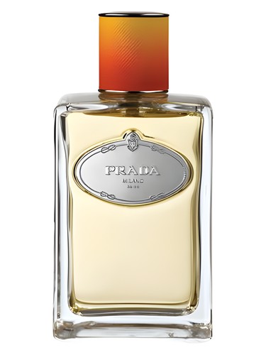 Amyris Homme Maison Francis Kurkdjian — аромат