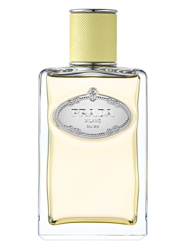 Infusion de Gingembre Prada — аромат