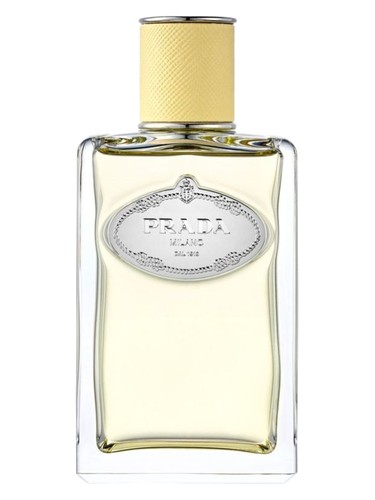 Infusion de Mimosa Prada — аромат