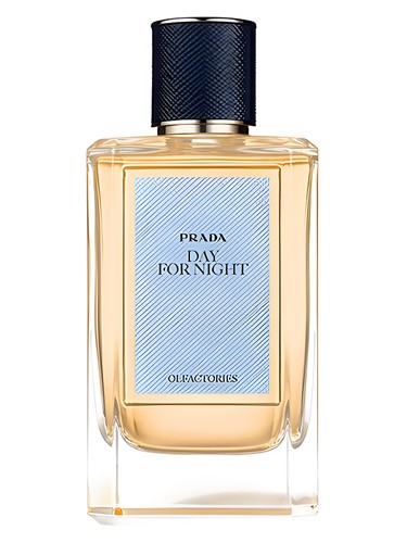 Day For Night Prada