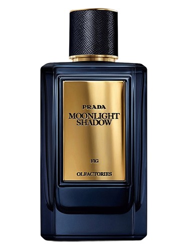 Mirages Moonlight Shadow Prada — аромат