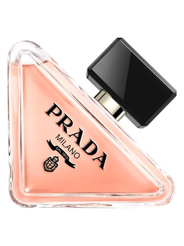 Prada Paradoxe Prada: разбор бестселлера — что говорят владельцы