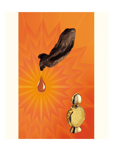 Shatha Al Oudh Rasasi — аромат