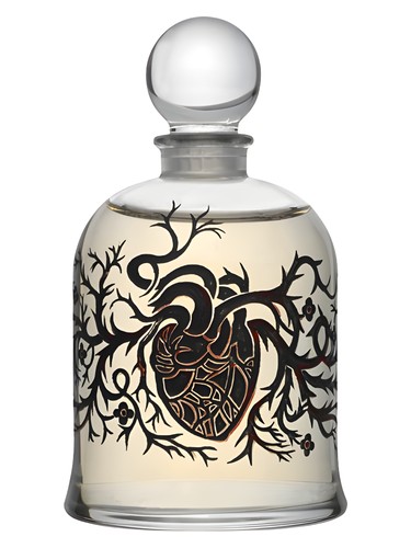 Iris Silver Mist Edition Limitée 2004 Serge Lutens — аромат