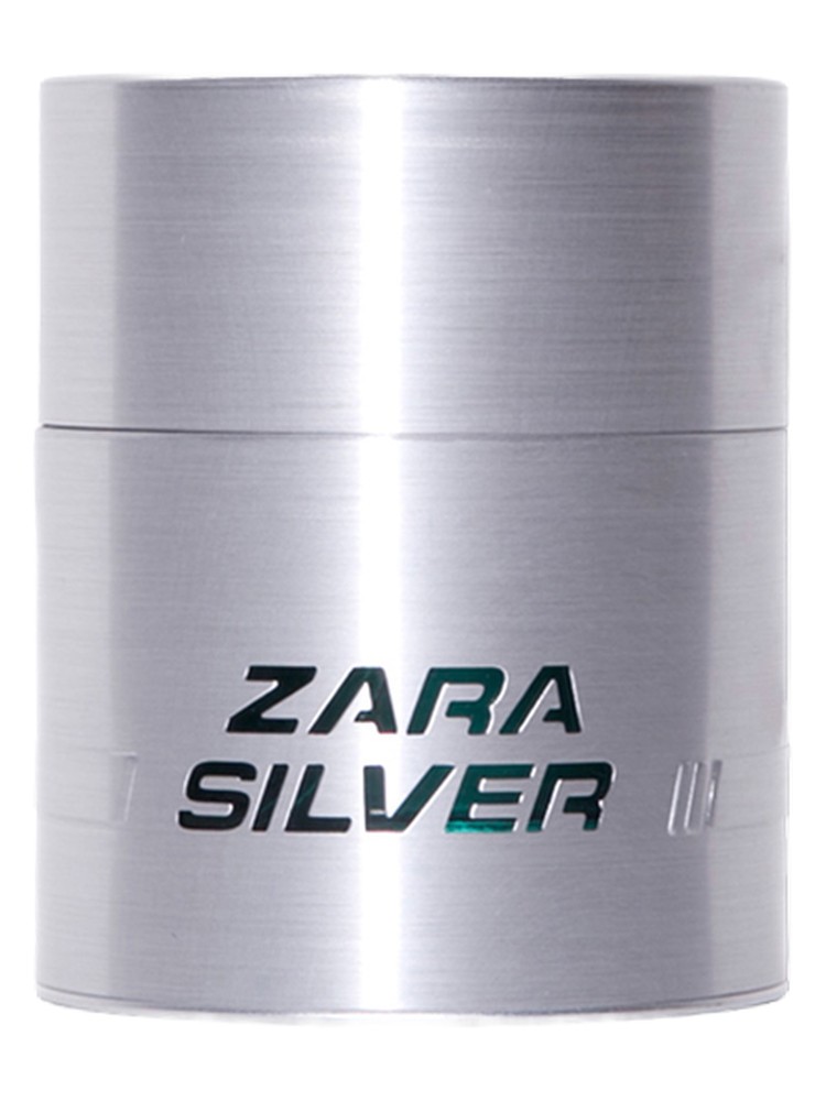 Zara Silver Zara