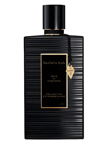 Nuit Zara — аромат