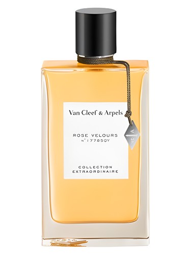 Soir Zara — аромат
