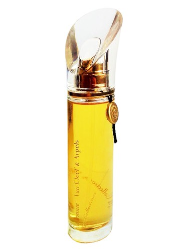 Very Sexy Platinum for Him Victoria's Secret — аромат