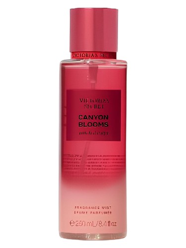 Canyon Blooms Victoria's Secret — аромат