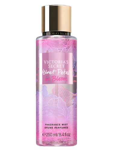 Velvet Petals in Bloom Victoria's Secret — аромат