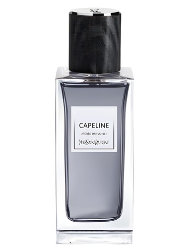 Capeline Yves Saint Laurent