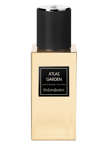 Atlas Garden Yves Saint Laurent — аромат