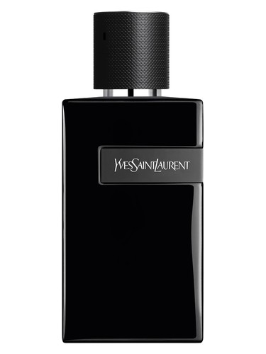 Y Le Parfum Yves Saint Laurent