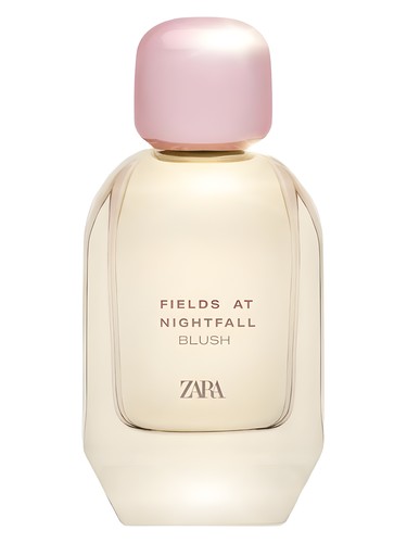 Fields at Nightfall Blush Zara — аромат