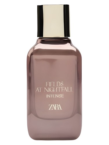 Fields at Nightfall Intense 2024 Zara — аромат