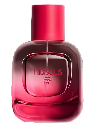 Hibiscus Zara — аромат