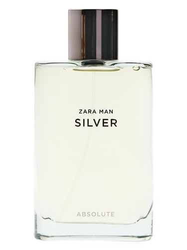 Silver Absolute Zara