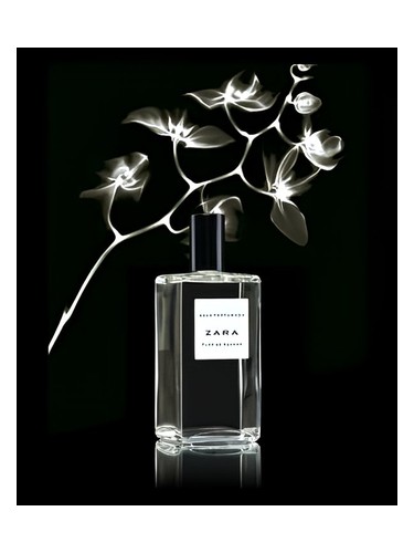Humidor Demeter Fragrance
