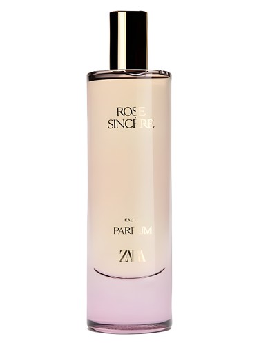 Rose Sincère Zara