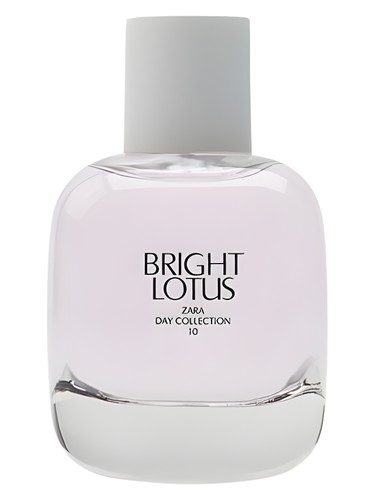 Bright Lotus Zara
