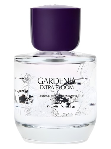 Gardenia Extra-Bloom Zara — аромат