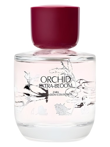 Orchid Extra-Bloom Zara — аромат