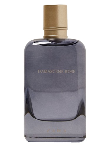 Damascene Rose Zara