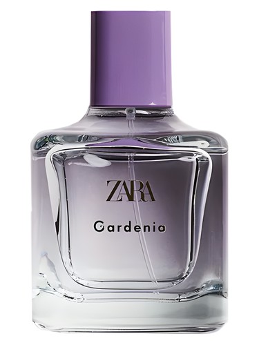 Gardenia Zara