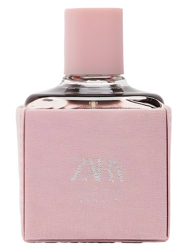 Orchid Sunset Zara — аромат