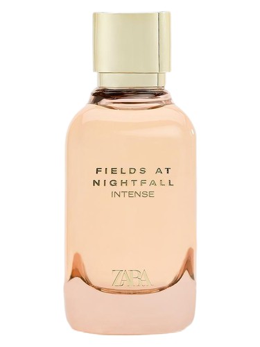 Fields At Nightfall Intense Zara