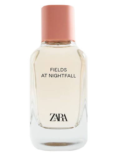 Fields at Nightfall 2020 Zara — аромат