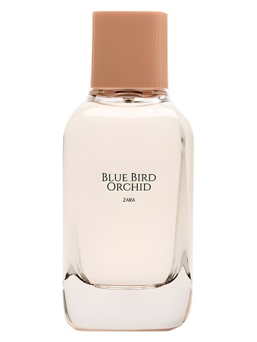 Blue Bird Orchid Zara — аромат