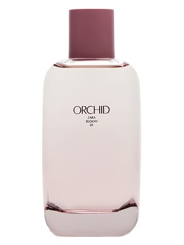 Orchid Bloom 01 Zara — аромат