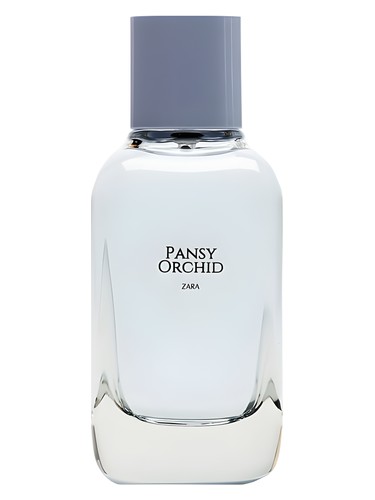 Pansy Orchid Zara — аромат