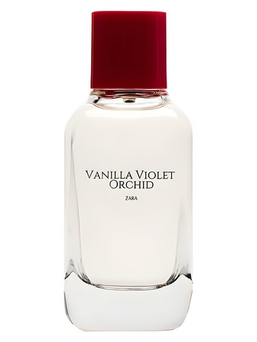 Vanilla Violet Orchid Zara